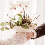 뿌리가 살아 있는 친환경 부케