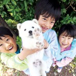 무럭무럭 ‘하늘빛 꿈’이 자랍니다